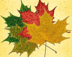 Цветните листа на есента
