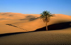 Най-уникалните пустини в света