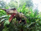 Невероятно: дете откри 11 динозавърски яйца