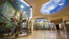 Регионалният природонаучен музей – Пловдив с безплатен вход и голям аквариум, и още забавления за децата тази събота и неделя