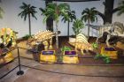 4 и 7-метрови динозаври се настаниха в Природонаучния музей в Пловдив