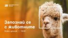 „Запознай се с животните“ е новата поредица в ефира на Bulgaria ON AIR