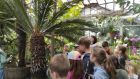 Ботаническата градина на БАН организира детски лагер, който разкрива тайните на медоносните растения