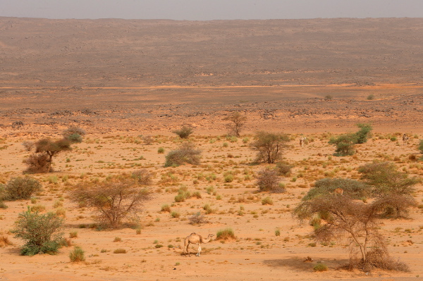 Необятната Сахара
