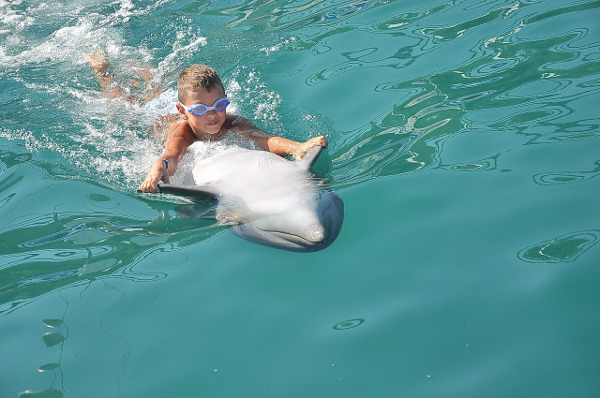 В Поморие ще празнуват Международния ден на делфините