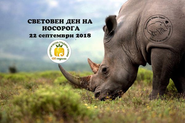 Елате на голямо детско парти в Софийския зоопарк за Деня на носорога