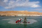 Преди яката работа: Дядо Коледа занесе елха в Мъртво море