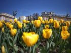 Красива пролет в София
