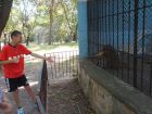  Зоопаркът в Ловеч -