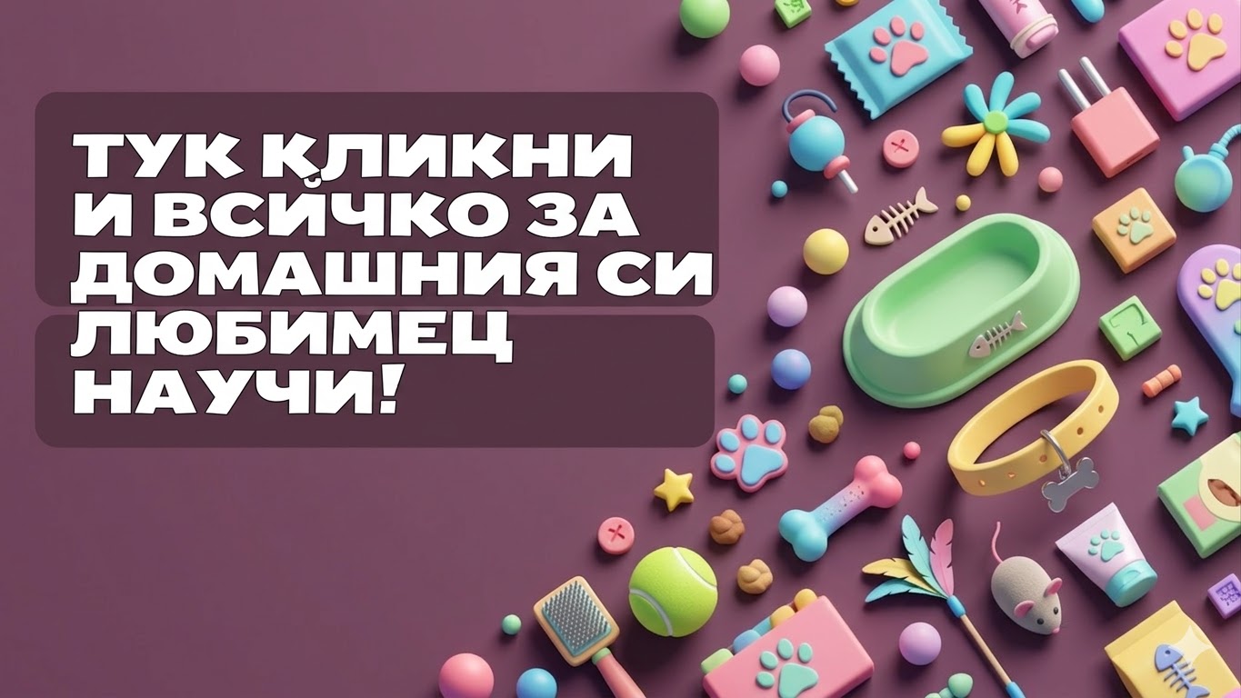 Всичко за домашния любимец Всичко за домашния любимец