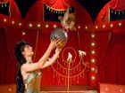 Лъвове и дракони ще танцуват в Софийския постоянен цирк на сцена