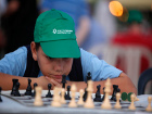 Шахматен турнир за деца ще се проведе в Пловдив