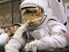 Защо космонавтите носят космически костюми?