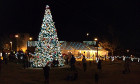 Коледната елха в София ще заблести на 1-ви декември