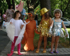 Шарен детски карнавал на биоразнообразието ще се проведе в София