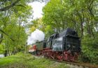 Незабравимо пътуване с локомотива Баба Меца за Лазаровден и Цветница