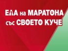 За първи път във Варна: маратон за кучета и техните стопани