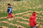 Лабиринт от есенни листа – забавления за деца и домашни любимци