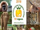 Софийският зоопарк празнува своя 130-и рожден ден с голям купон 