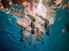 Синхронно плуване: ето това вече е спорт за русалки
