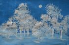С бяла и синя боя става най-красивият зимен пейзаж на света!