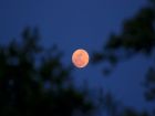 Защо понякога Луната изглежда оранжева?