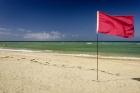 Цветните флагове на плажа – какво означават и защо е важно да ги спазваме?