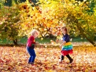 Посрещнете есента подобаващо с няколко весели занимания