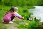 За всички деца от област Враца и страната снимайте птиците около нас и участвайте в конкурс