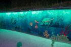 Морският свят оживява в светещи стенописи на крайбрежната алея в Приморско