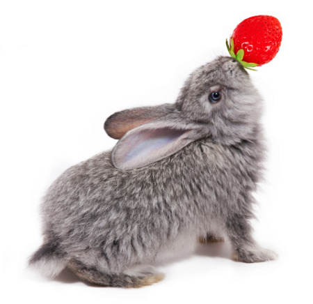 Зайчето и вълшебната ягодка