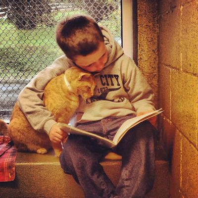 Деца четат приказки на кучета и котки, за да ги успокоят