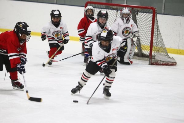 Хокеят – добра алтернатива за детски спорт
