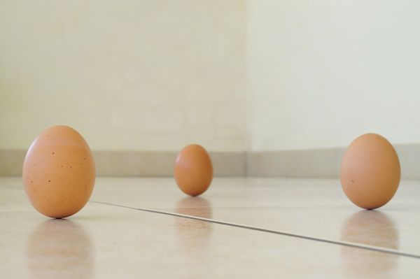 Забележителен трик с яйце