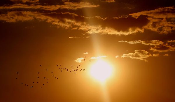 Наистина ли Слънцето произвежда енергия?