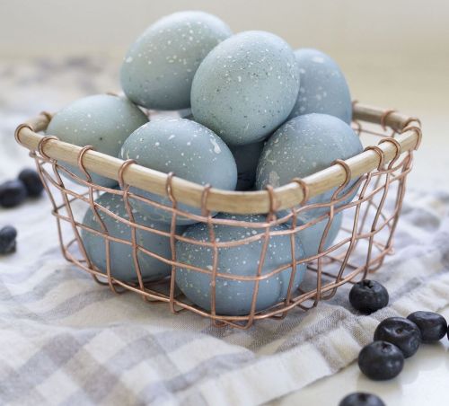 Нетрадиционно и интересно: боядисайте великденските яйца с боровинки