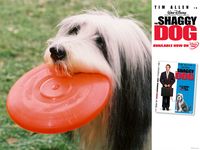 Човекът-куче – на Disney DVD и видео