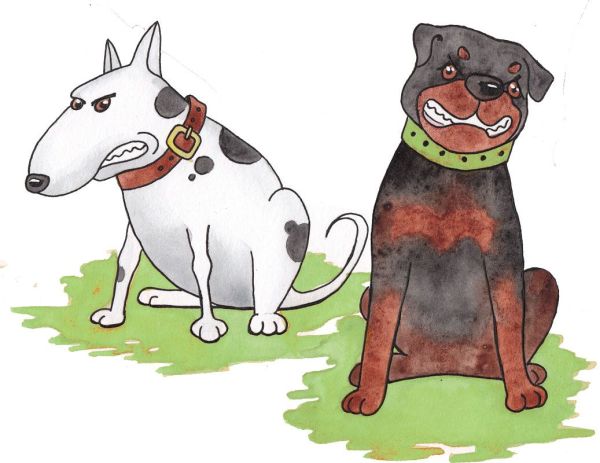Как да се пазим от агресивни кучета – няколко добри и лесни съвета, които всяко дете трябва да знае