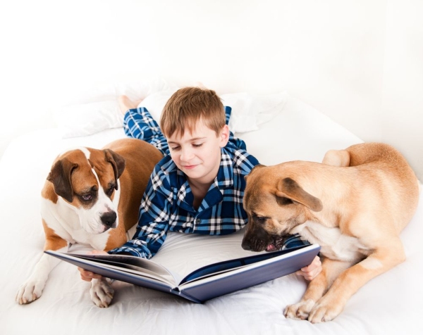 Децата четат повече, ако си имат... куче