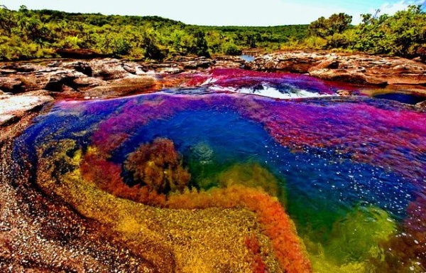 Каньо Кристалес – реката с петте цвята
