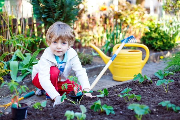 Градинарството – забавна и интересна дейност за цялото семейство по време на социална изолация и не само