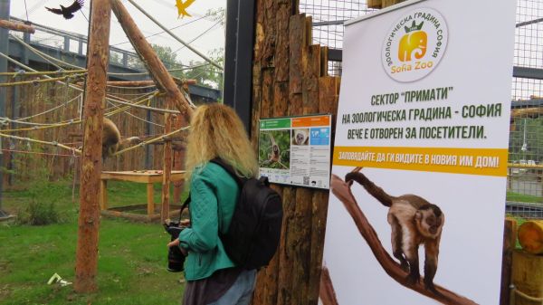 След дългия ремонт: маймуните в Софийския зоопарк вече са в новия си и модерен дом