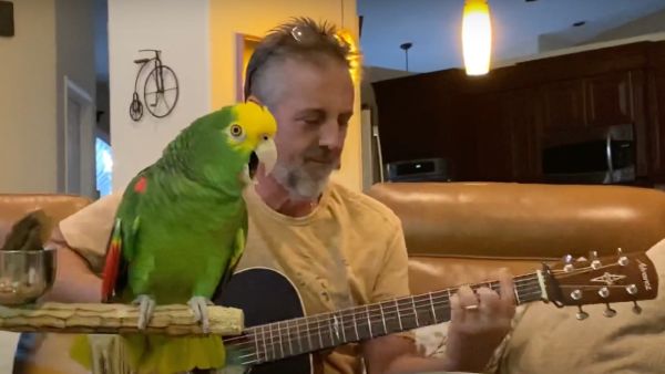 За добро настроение: папагал и стопанинът му пеят парчета на Бон Джоуви и „Бийтълс“