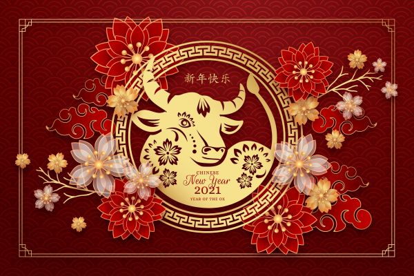 Знаете ли, че днес започва китайската нова година? Прочетете няколко интересни факта за празника!