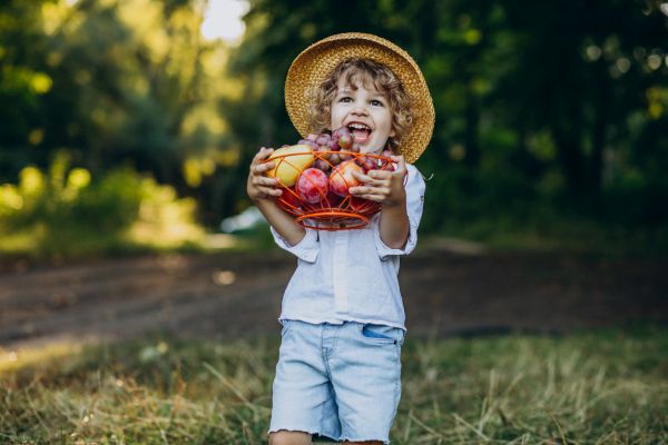 В името на здравето и децата – първата биоградина за здравословно хранене на децата се намира в Троян, скоро ще има и билки и мед