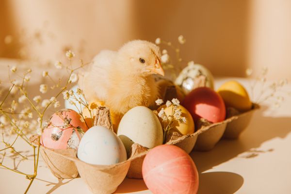 Организират Великденски лов на яйца във Варна