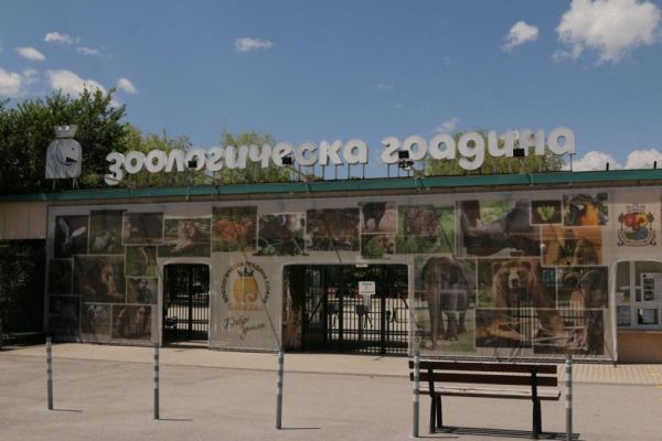 Игри, изненади и уникални книги в новата и интересна „Зелена библиотека“ на Столичния зоопарк