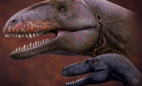 Палеонтолози откриха останки от „царя на динозаврите“