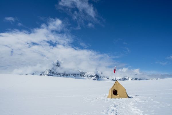 4 удивителни неща за Антарктида, които няма да съжалявате, че сте прочели