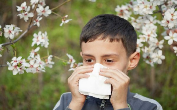 Защо имаме алергии?